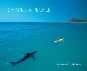 Sharks and &hellip;
