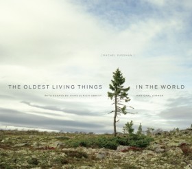 The Oldest &hellip;