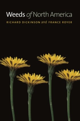 Weeds of N …