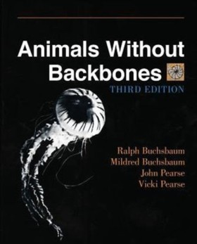 Animals Wi &hellip;