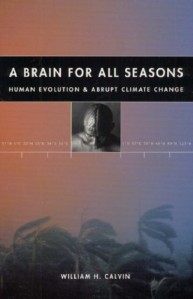 A Brain fo …