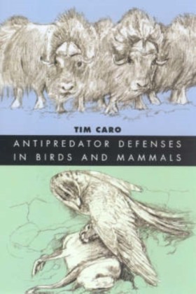 Antipredat &hellip;