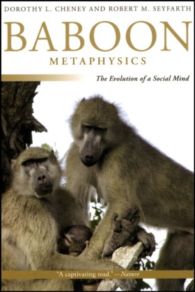 Baboon Met …