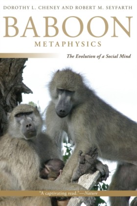 Baboon Met …