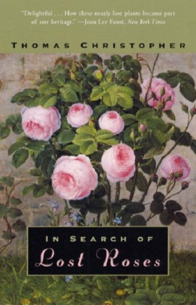 In Search &hellip;