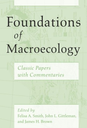Foundation …