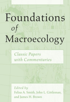 Foundation …