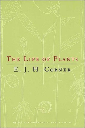 The Life o &hellip;