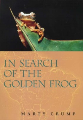 In Search …