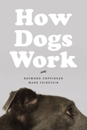 How Dogs W &hellip;