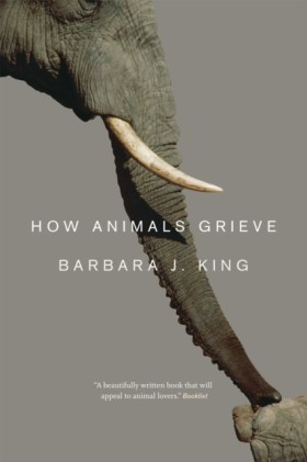 How Animal …