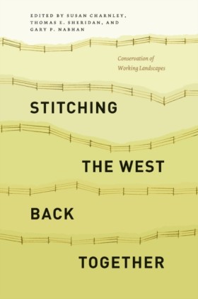 Stitching …
