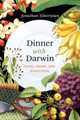 Dinner wit …