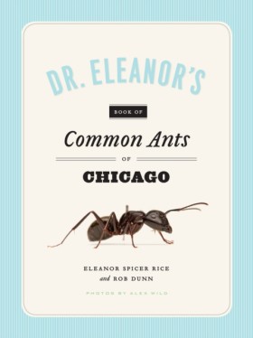 Dr. Eleano &hellip;