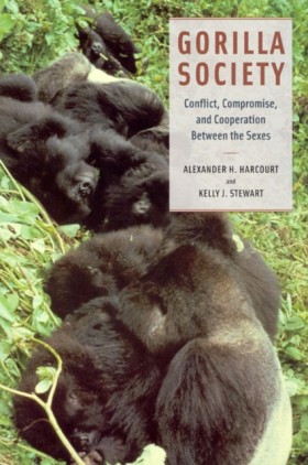 Gorilla So &hellip;