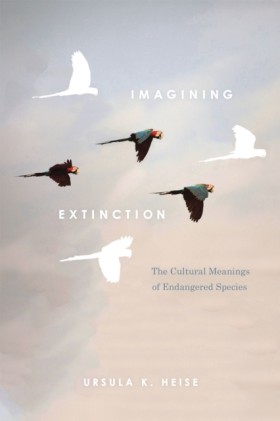 Imagining &hellip;