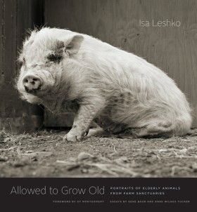 Allowed to …