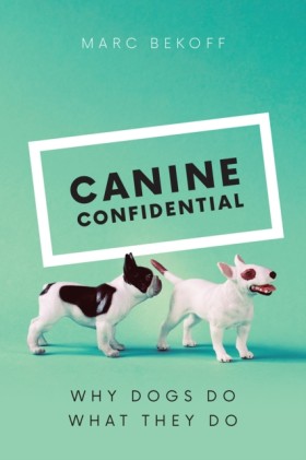 Canine Con …