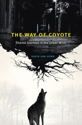 The Way of &hellip;