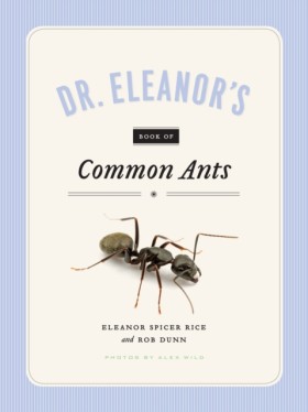 Dr. Eleano …