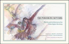 The Peregr &hellip;