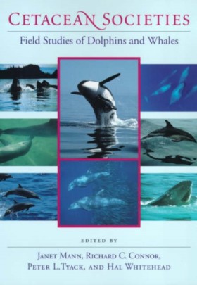 Cetacean S …