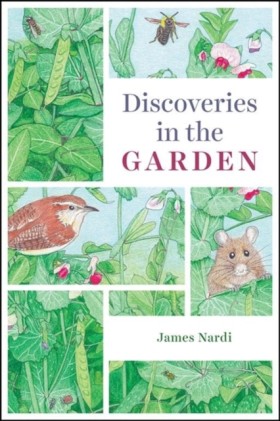 Discoverie &hellip;