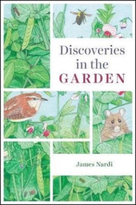 Discoverie …