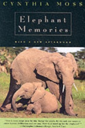 Elephant M &hellip;