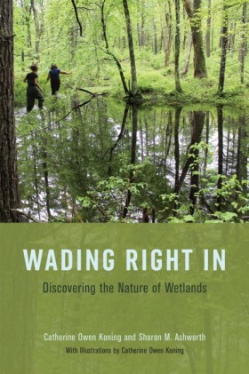 Wading Rig …