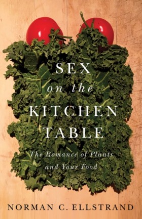 Sex on the &hellip;