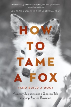How to Tam &hellip;