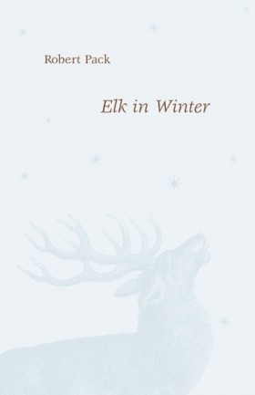 Elk in Win …