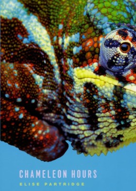 Chameleon …