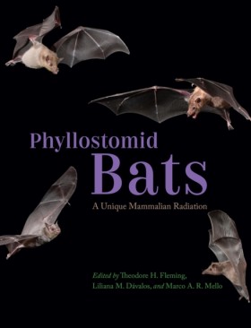Phyllostom &hellip;