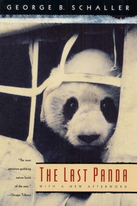 The Last P &hellip;