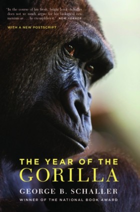 The Year o &hellip;