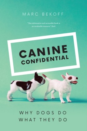 Canine Con &hellip;