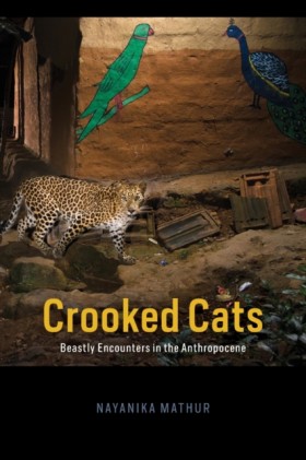 Crooked Ca …