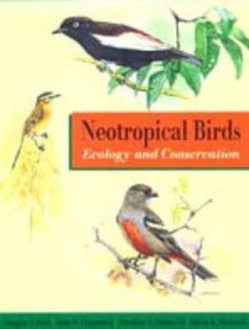 Neotropica …
