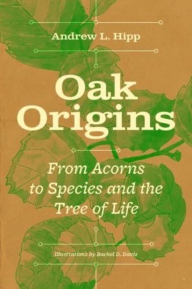 Oak Origin …