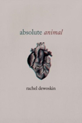 absolute a …