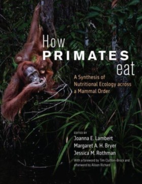 How Primat &hellip;