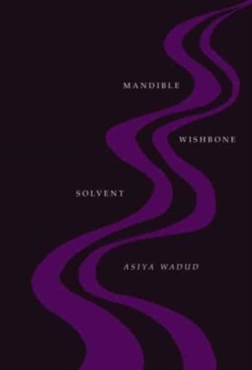 Mandible W …
