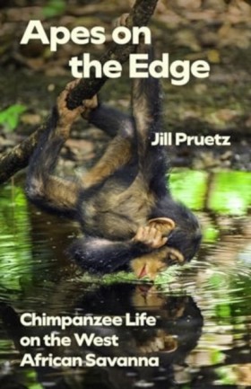 Apes on th &hellip;