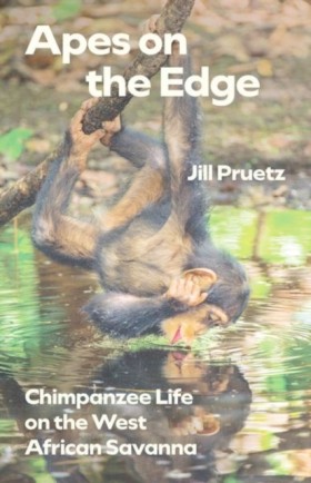 Apes on th &hellip;