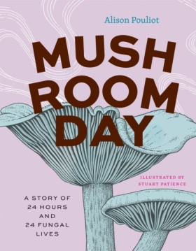 Mushroom D &hellip;