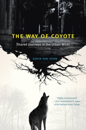 The Way of &hellip;