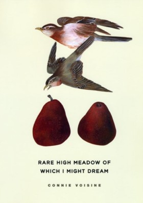 Rare High &hellip;