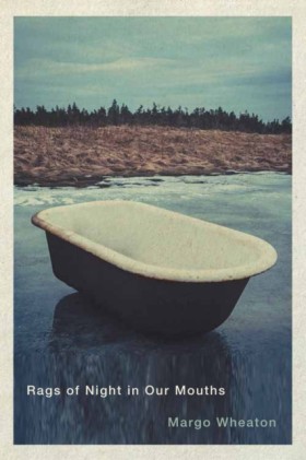 Rags of Ni &hellip;